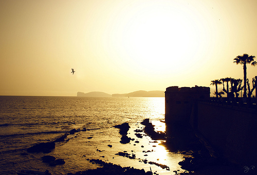 ALGHERO FOTO EXCURSIONES