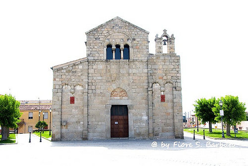 excursiones para cruceros Olbia