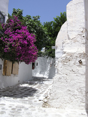 excursiones mykonos