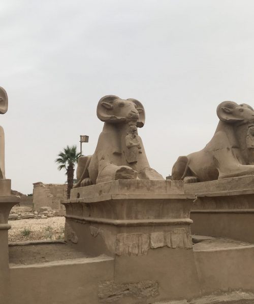 Pasillo Esfinges Luxor